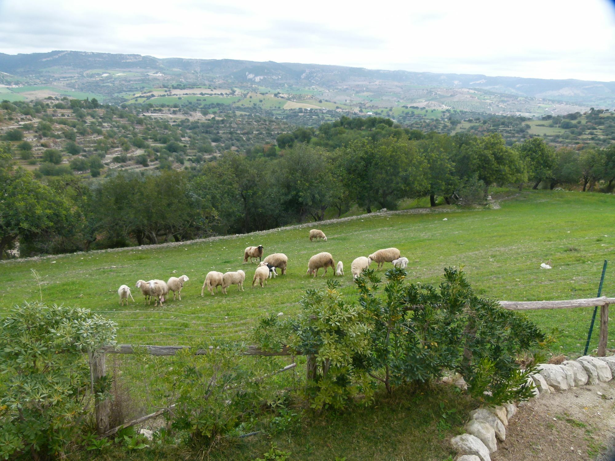 Agriturismo Villa Gaia モーディカ エクステリア 写真